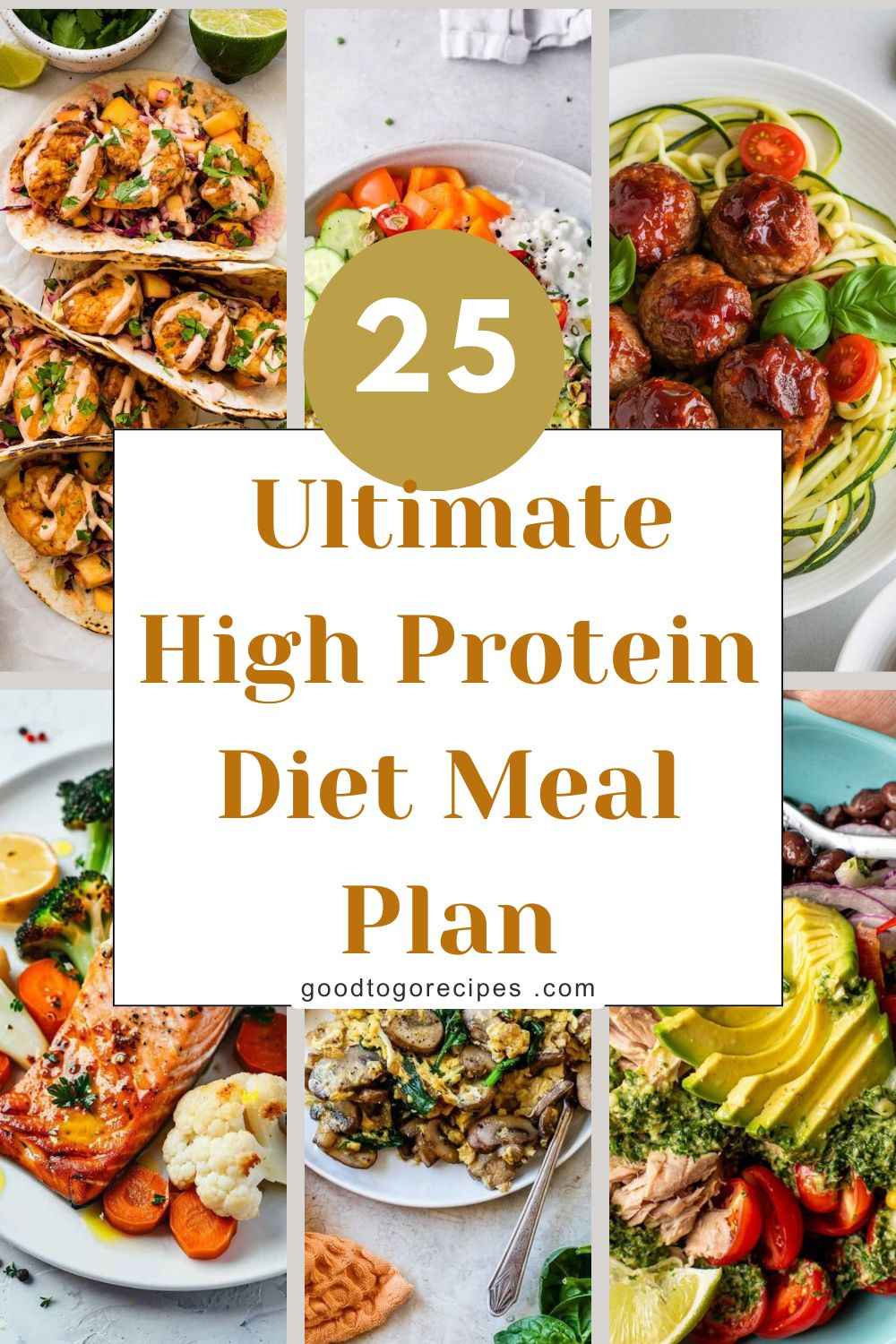 High Protein Diet Meal Plan
